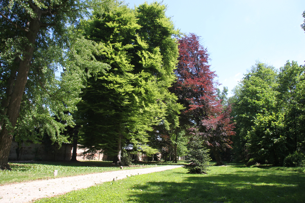 giardinoIMG_2268