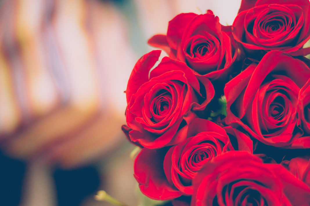 abeautiful-bloom-blooming-blossom-386015