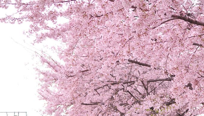 Attendendo la primavera con Geo Nude