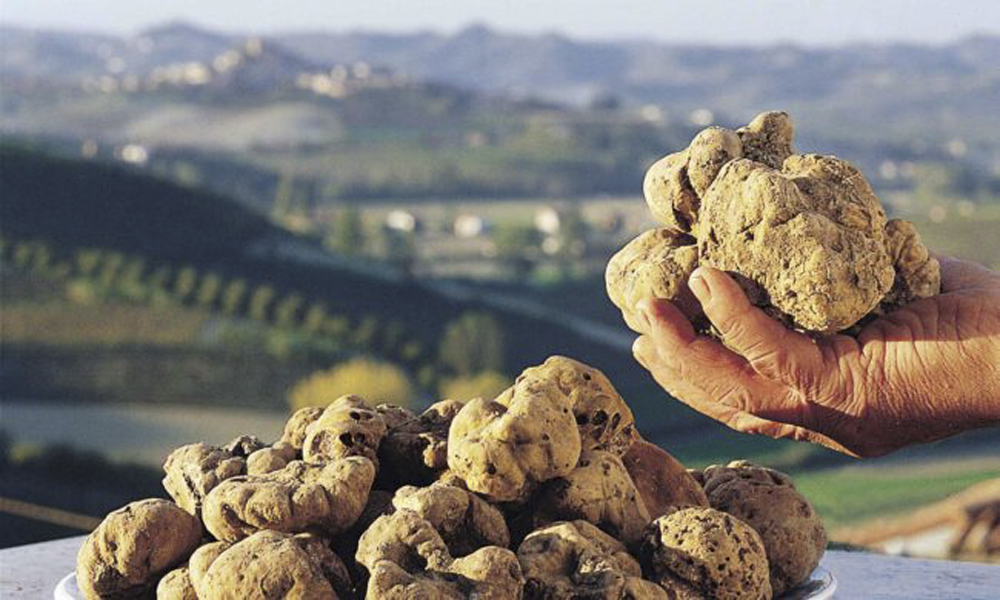 pfiera-del-tartufo-dalba1