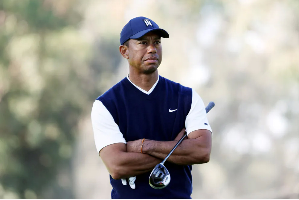 tiger master