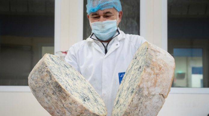 il sale nel Gorgonzola non c’è?